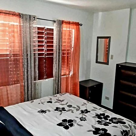 The Mango Lodge キングストン エクステリア 写真