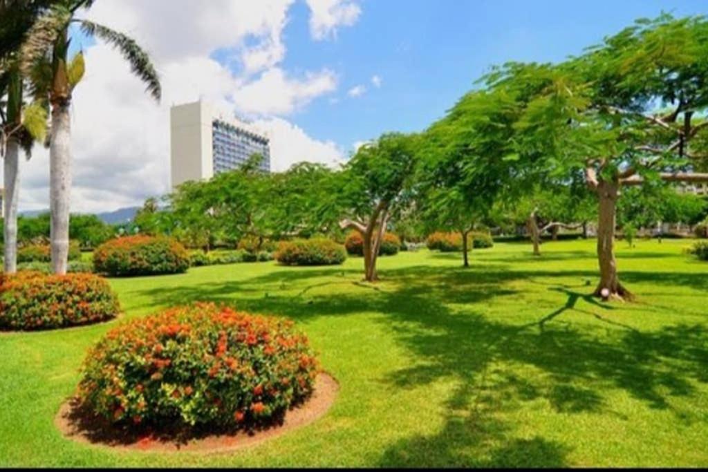 The Mango Lodge キングストン エクステリア 写真