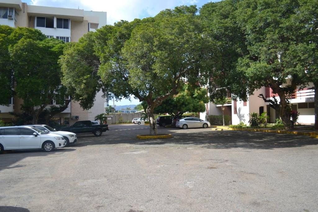 The Mango Lodge キングストン エクステリア 写真